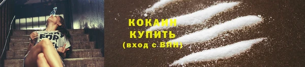 прущая мука Арсеньев