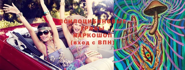 прущая мука Арсеньев
