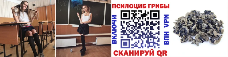 маркетплейс как зайти  Уварово  Псилоцибиновые грибы Psilocybe 